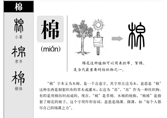 字谜学字网 字理识字网 同步字谜网 字源网 字理网 字谜网 字典网 学字网 中小学课文生字表 棉的字谜顺口溜谜面谜底字源字理成语编字谜 棉的字义解释读音发音多音字笔画笔顺汉字演变